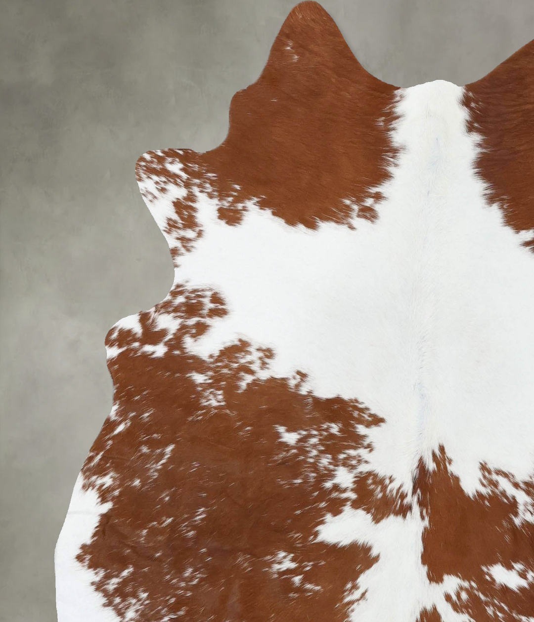 Brown and White Large Brazilian Cowhide Rug 6'1"H x 5'6"W #B18646 by H