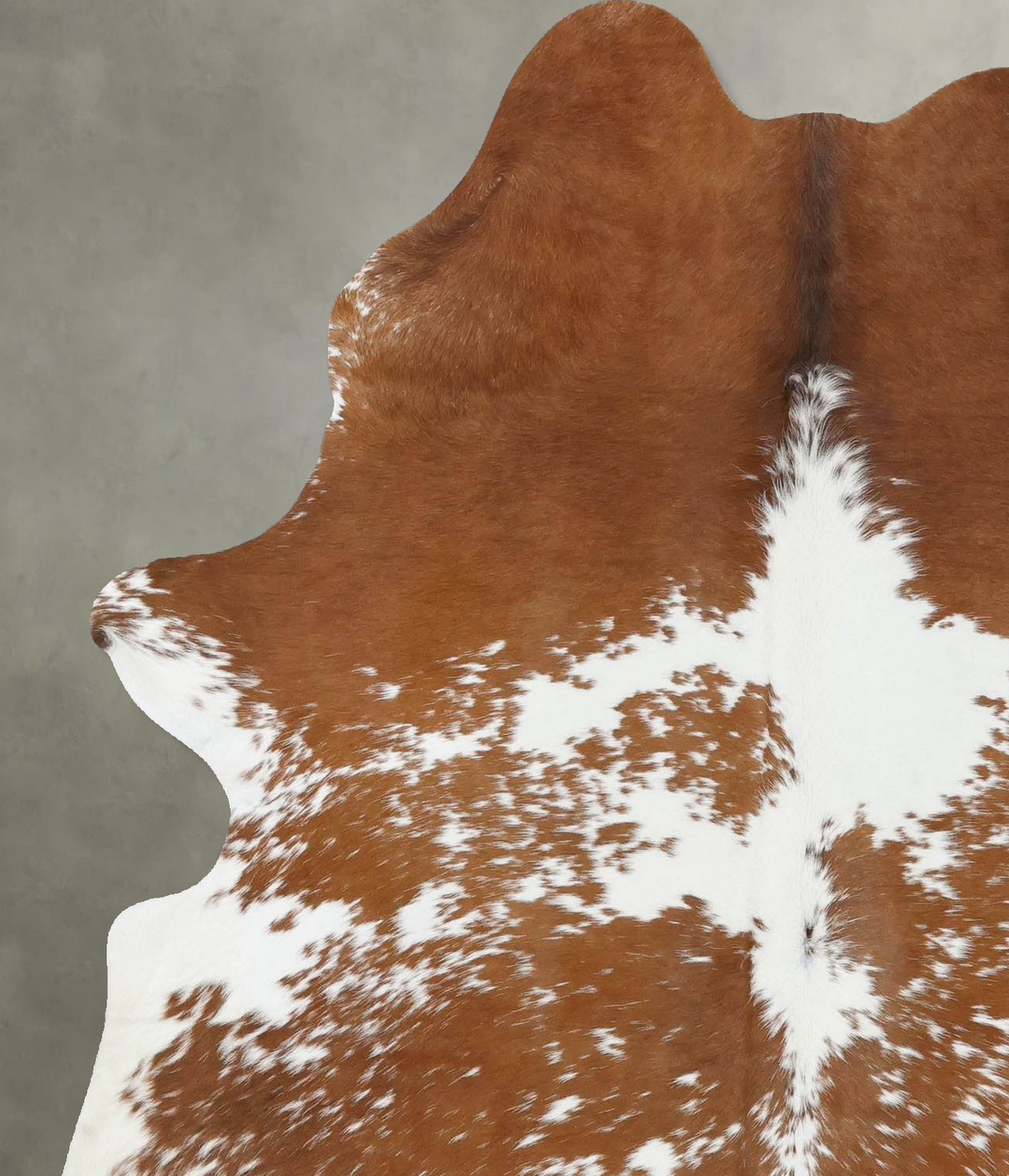 Brown and White Large Brazilian Cowhide Rug 6'6"H x 5'1"W #B18666 by H