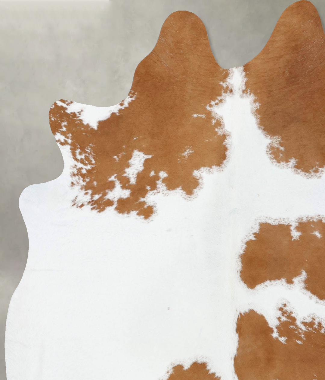 Brown and White Large Brazilian Cowhide Rug 6'7"H x 5'11"W #B18667 by 