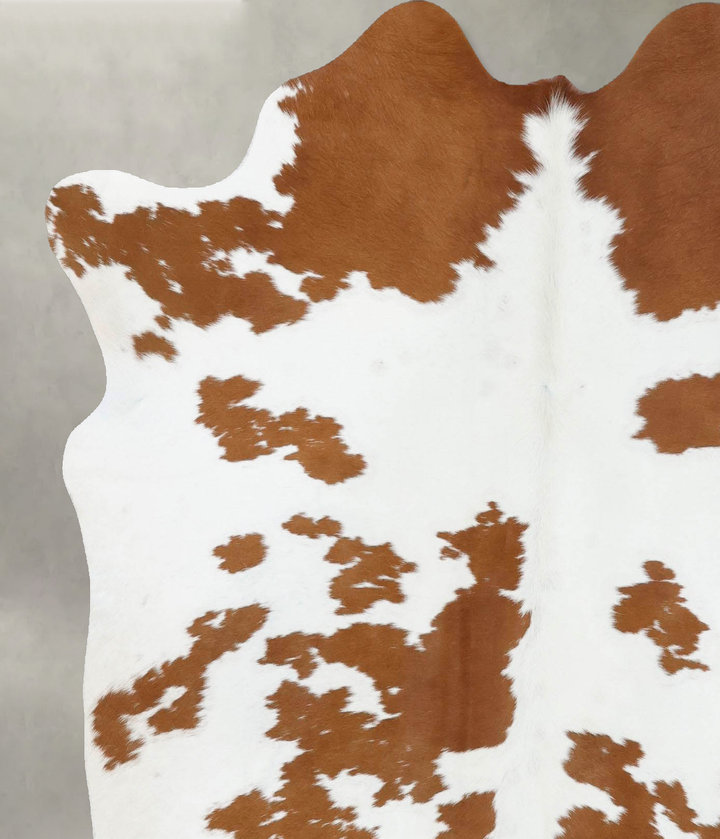 Brown and White Large Brazilian Cowhide Rug 6'5"H x 5'5"W #B18668 by Hudson Hides