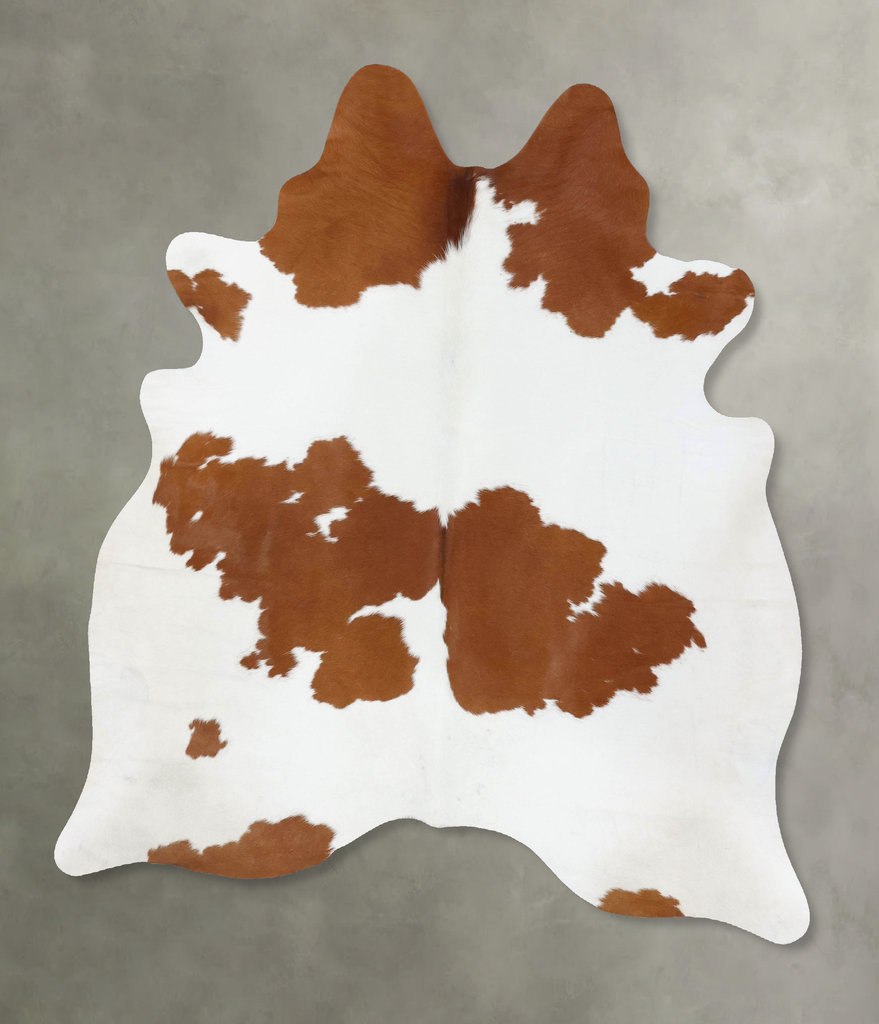 Brown and White X-Large Brazilian Cowhide Rug 6'10"H x 6'1"W #B18673 by Hudson Hides