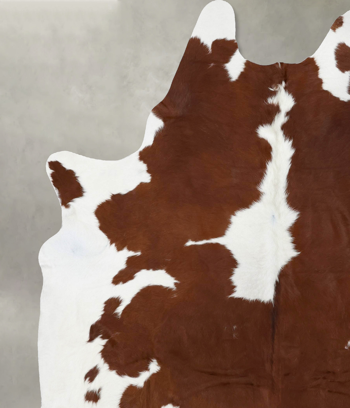 Brown and White XX-Large Brazilian Cowhide Rug 8'8"H x 7'0"W #B18682 by Hudson Hides