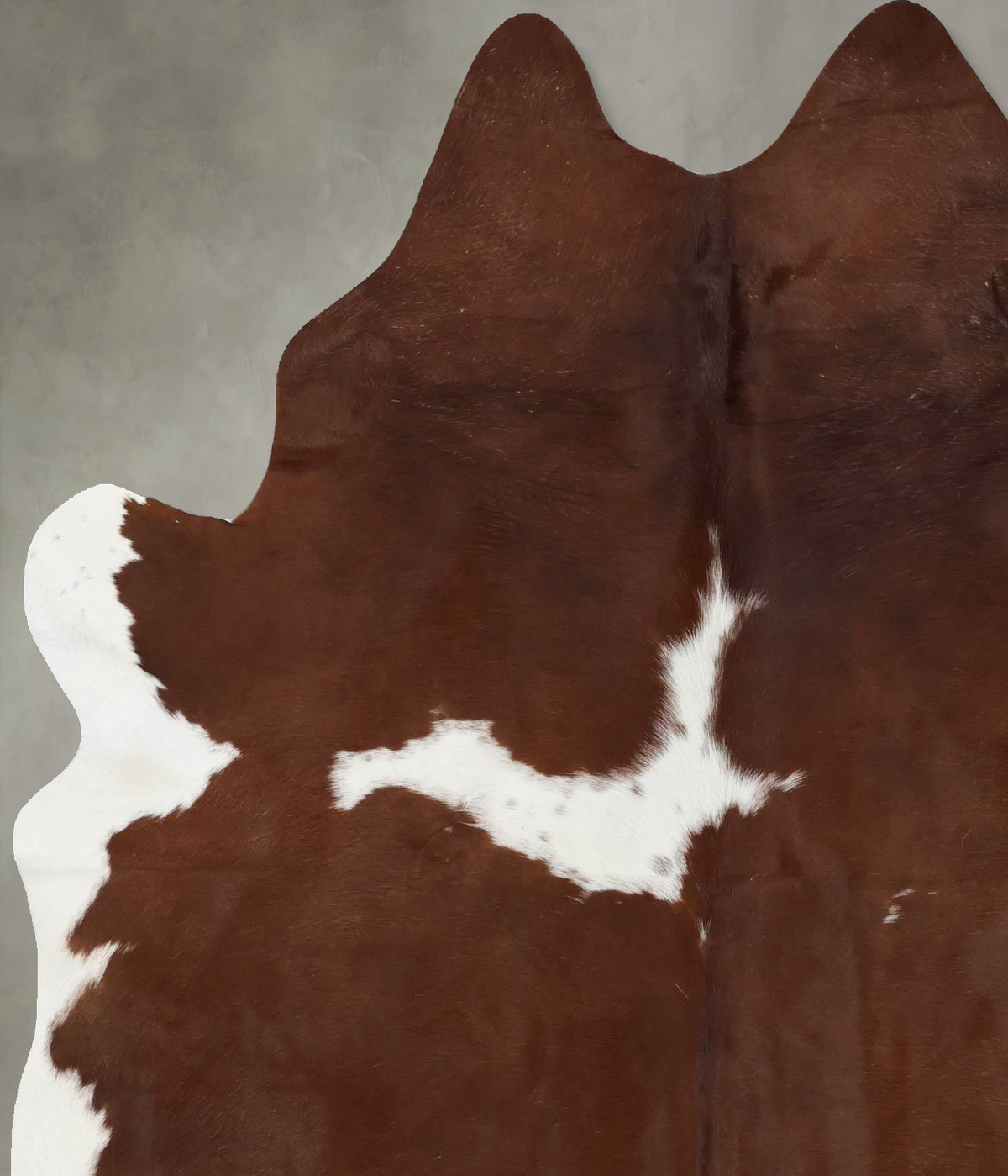 Brown and White X-Large Brazilian Cowhide Rug 7'9"H x 5'10"W #B18695 by Hudson Hides