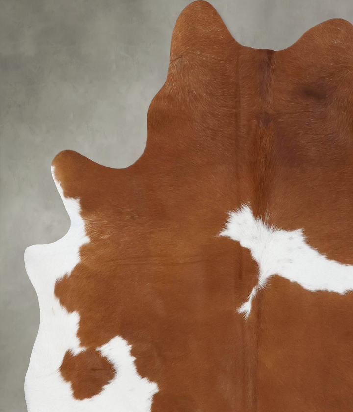 Brown and White Large Brazilian Cowhide Rug 6'8"H x 5'8"W #B18705 by Hudson Hides