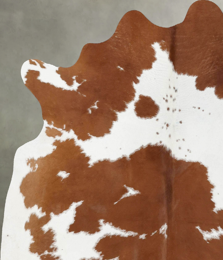 Brown and White Large Brazilian Cowhide Rug 6'2"H x 5'8"W #B18706 by Hudson Hides