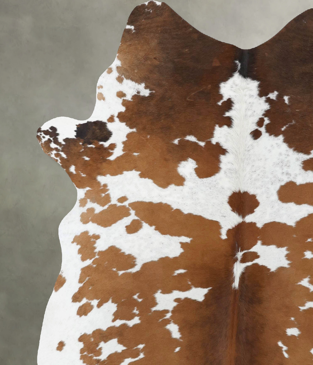 Chocolate and White X-Large Brazilian Cowhide Rug 7'3"H x 5'11"W #B187
