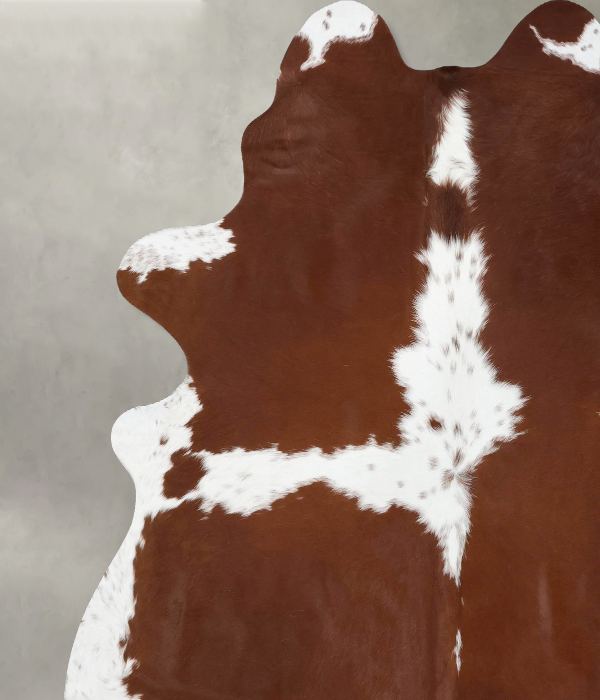 Brown and White XX-Large Brazilian Cowhide Rug 8'0"H x 6'11"W #B18723 by Hudson Hides