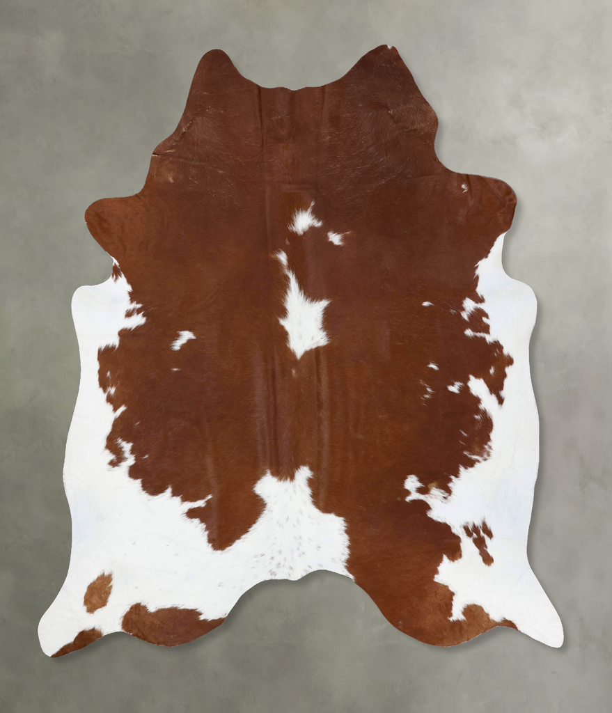 Brown and White XX-Large Brazilian Cowhide Rug 8'1"H x 7'1"W #B18735 by Hudson Hides