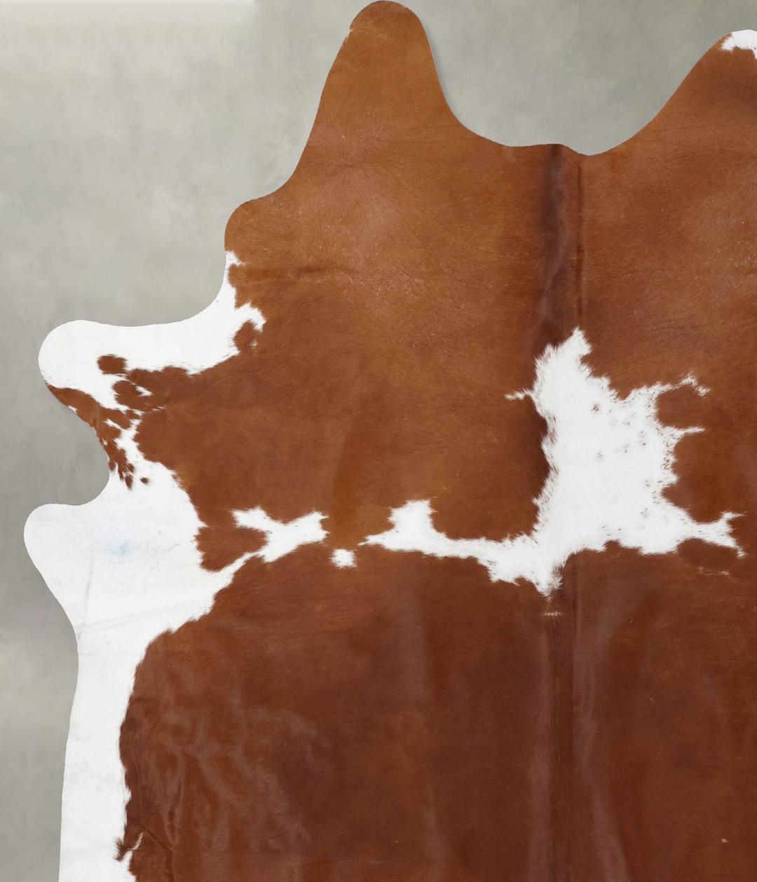 Brown and White XX-Large Brazilian Cowhide Rug 8'6"H x 7'4"W #B18736 b