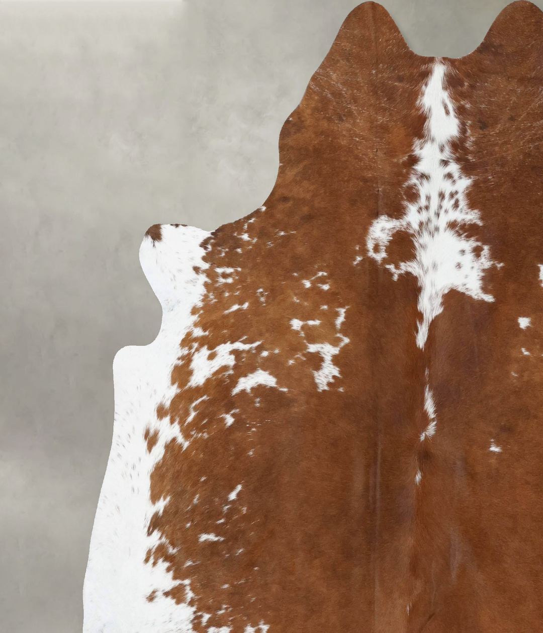 Brown and White XX-Large Brazilian Cowhide Rug 7'4"H x 7'1"W #B18747 b