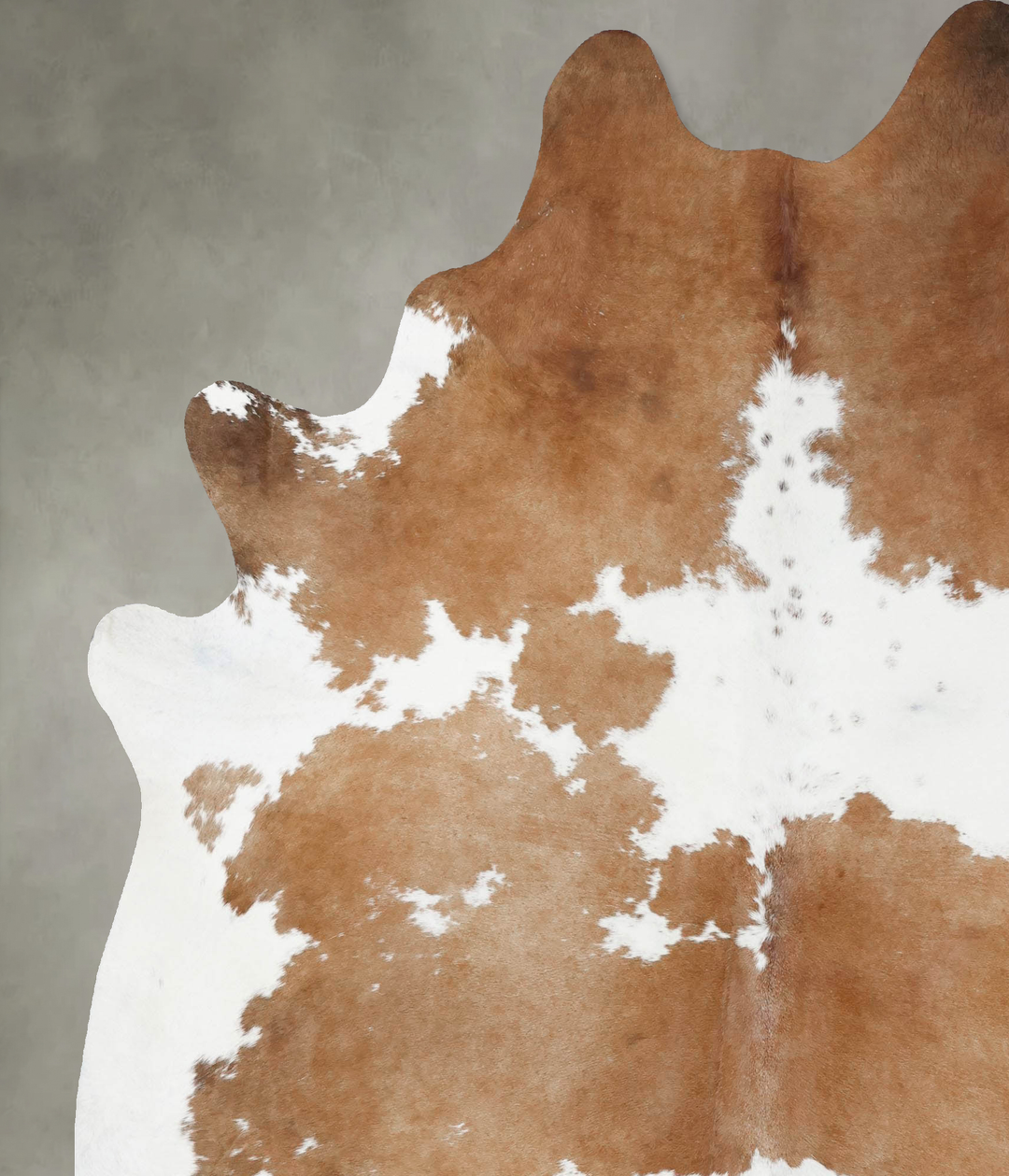 Brown and White XX-Large Brazilian Cowhide Rug 8'4"H x 6'8"W #B18762 b