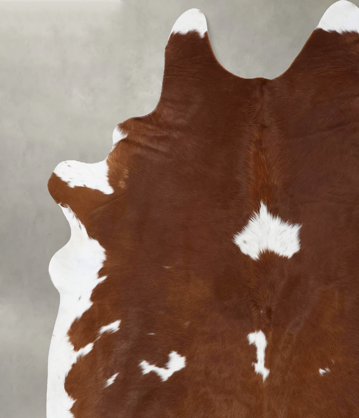 Brown and White XX-Large Brazilian Cowhide Rug 8'7"H x 7'3"W #B18765 by Hudson Hides