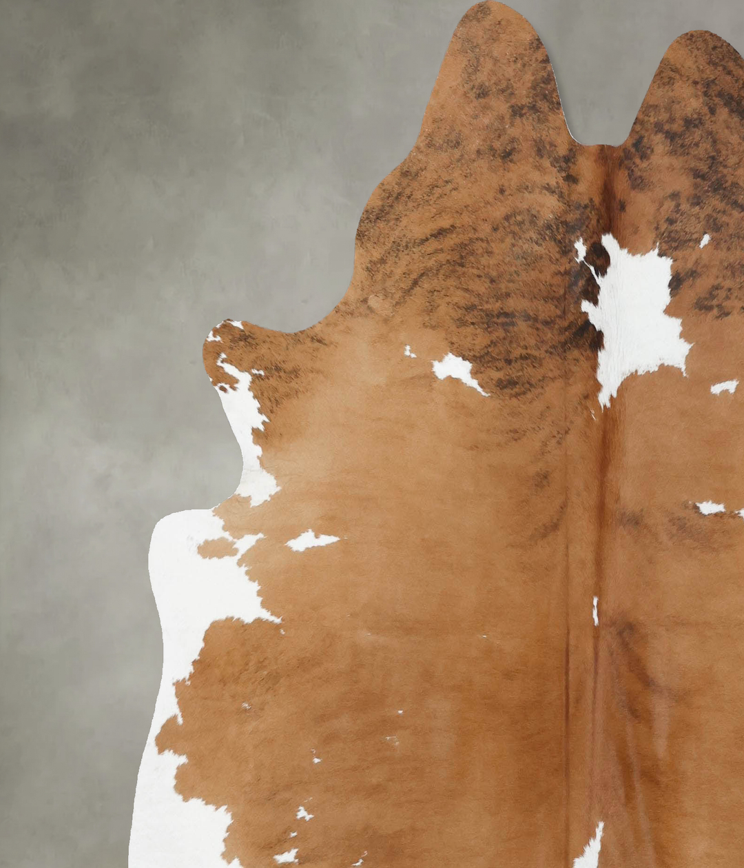 Tricolor X-Large Brazilian Cowhide Rug 6'6"H x 6'3"W #B18773 by Hudson
