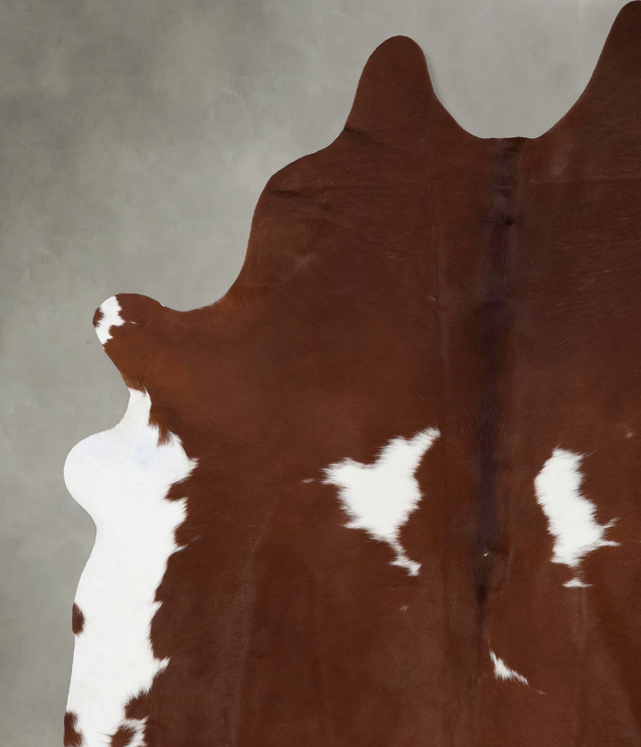 Brown and White XX-Large Brazilian Cowhide Rug 8'5"H x 6'6"W #B18777 by Hudson Hides