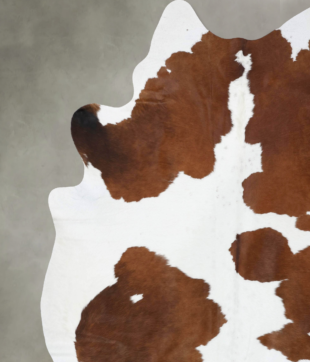 Chocolate and White XX-Large Brazilian Cowhide Rug 9'7"H x 7'8"W #B187