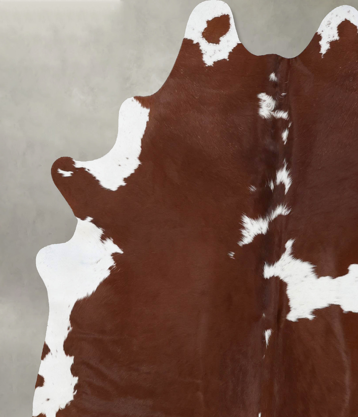 Brown and White X-Large Brazilian Cowhide Rug 7'5"H x 6'5"W #B18793 by Hudson Hides