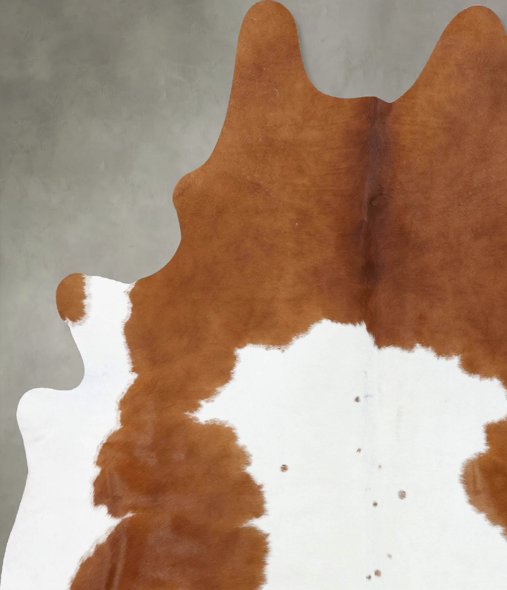 Brown and White X-Large Brazilian Cowhide Rug 7'7"H x 6'3"W #B18795 by Hudson Hides