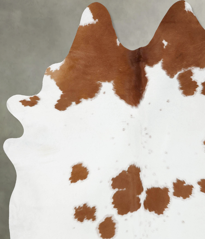 Brown and White XX-Large Brazilian Cowhide Rug 8'6"H x 7'0"W #B18798 by Hudson Hides