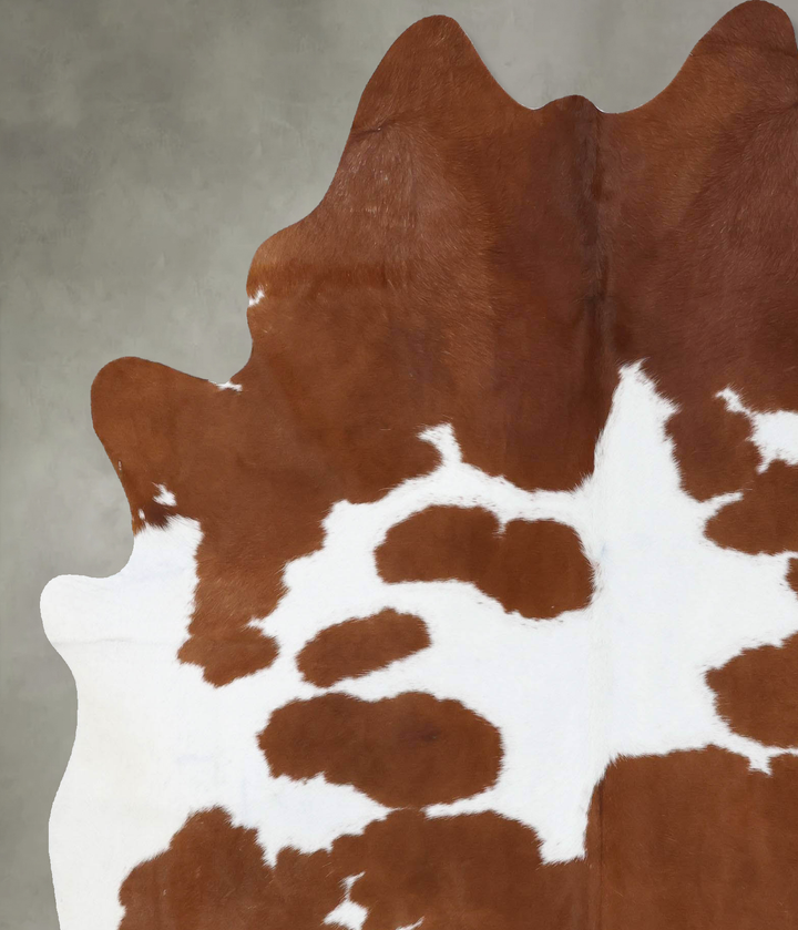 Brown and White X-Large Brazilian Cowhide Rug 7'8"H x 6'1"W #B18811 by Hudson Hides
