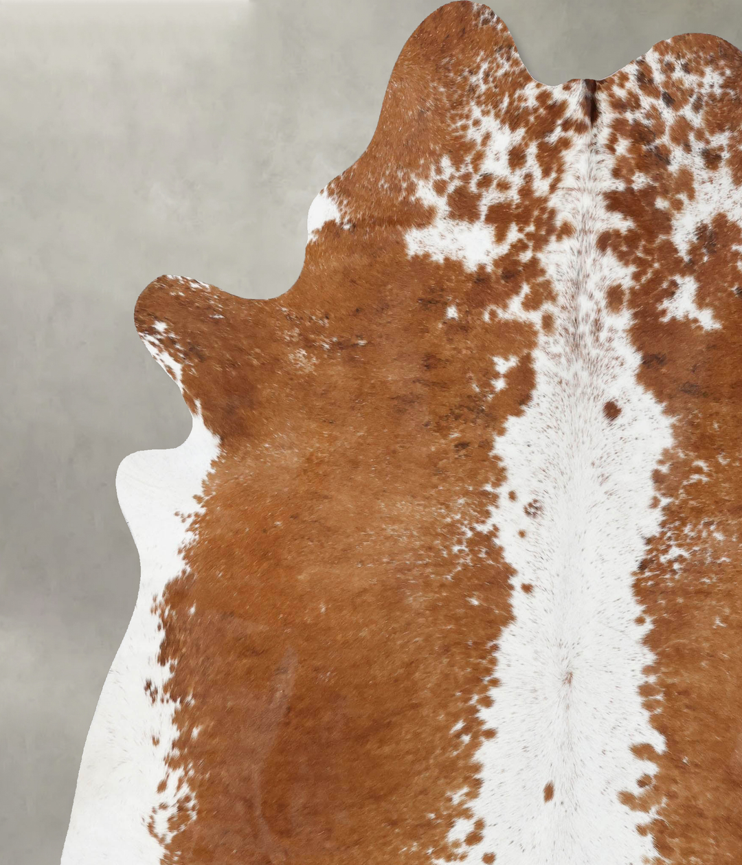 Brown and White Regular XX-Large Brazilian Cowhide Rug 8'4"H x 6'10"W 