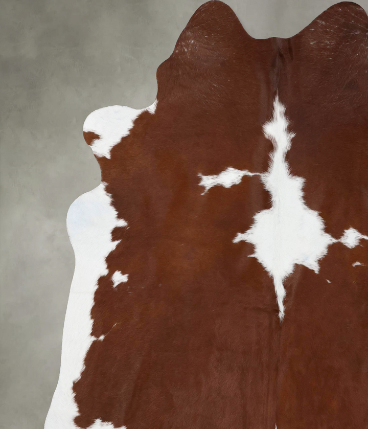 Brown and White XX-Large Brazilian Cowhide Rug 8'0"H x 7'3"W #B18821 by Hudson Hides