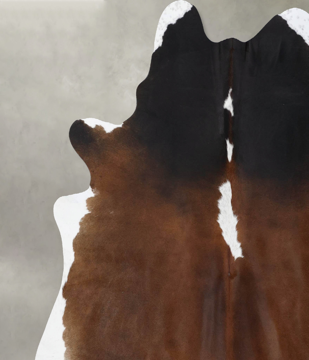 Chocolate and White XX-Large Brazilian Cowhide Rug 7'6"H x 6'11"W #B18