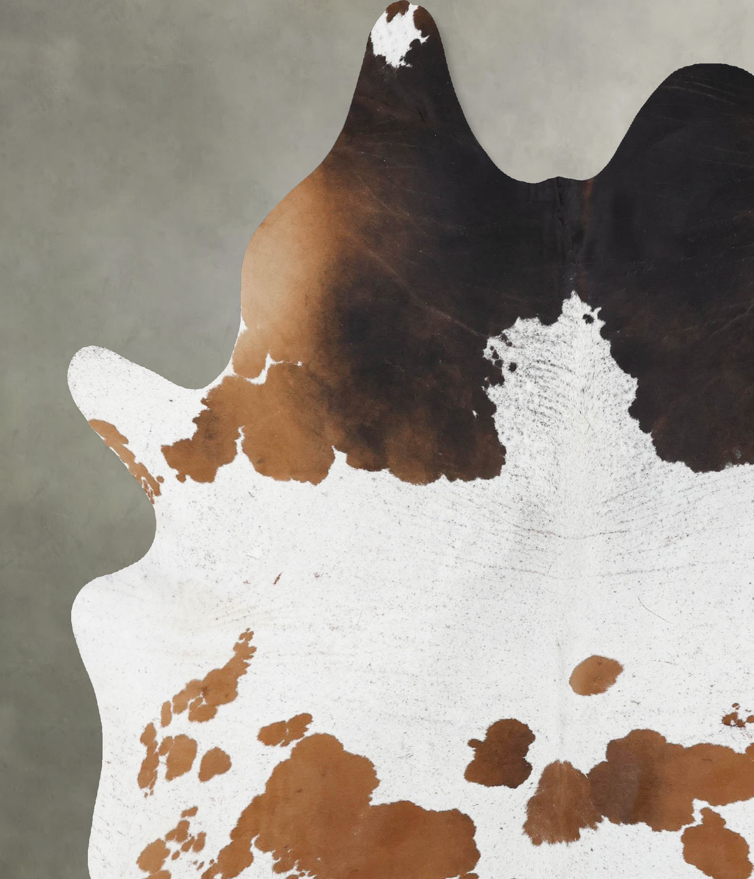 Chocolate and White XX-Large Brazilian Cowhide Rug 8'4"H x 6'9"W #B188