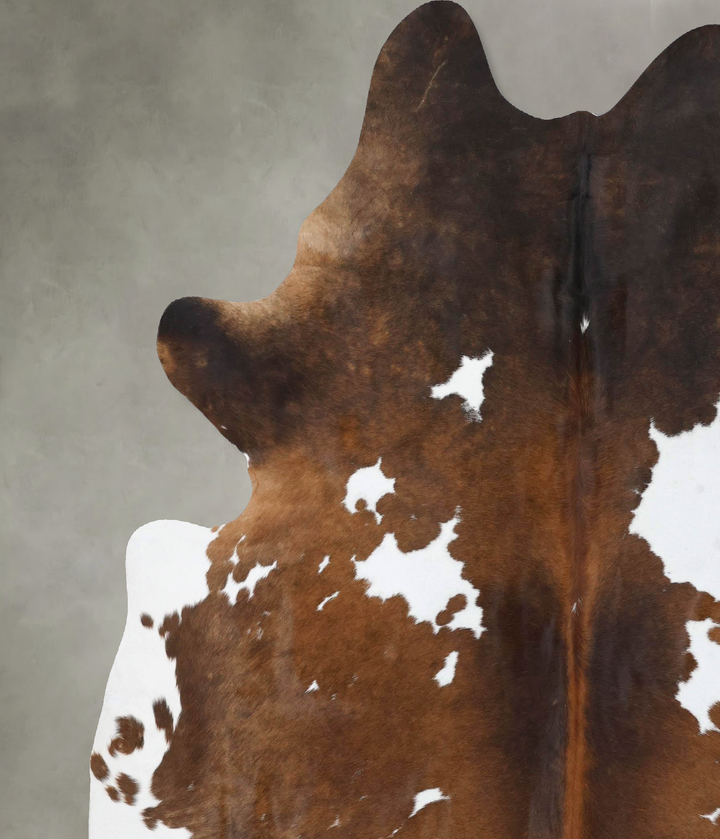 Chocolate and White XX-Large Brazilian Cowhide Rug 8'2"H x 7'0"W #B18827 by Hudson Hides