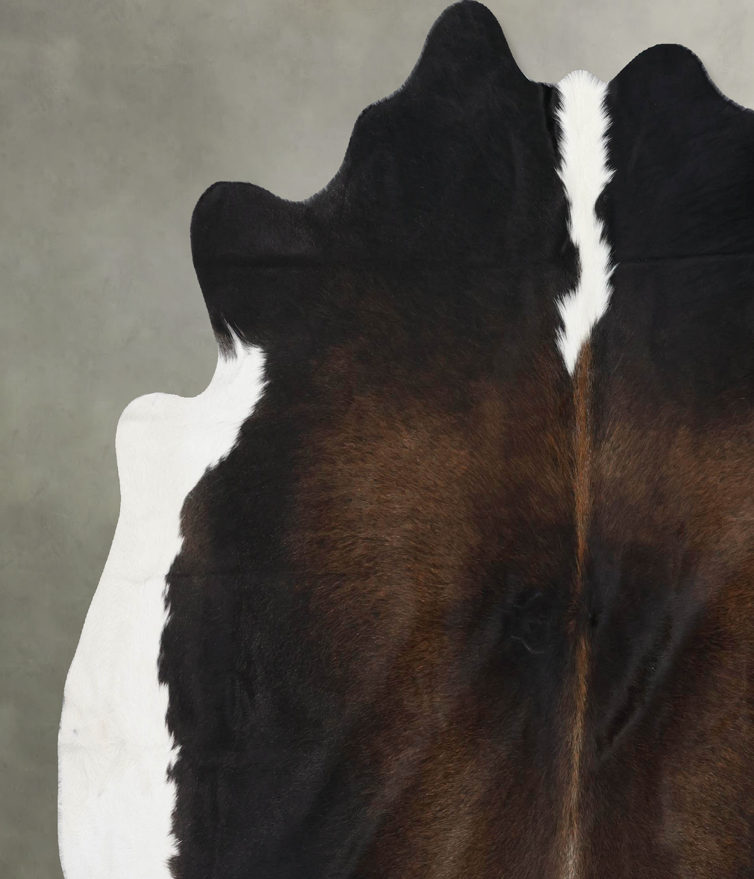 Chocolate and White XX-Large Brazilian Cowhide Rug 7'0"H x 7'5"W #B188
