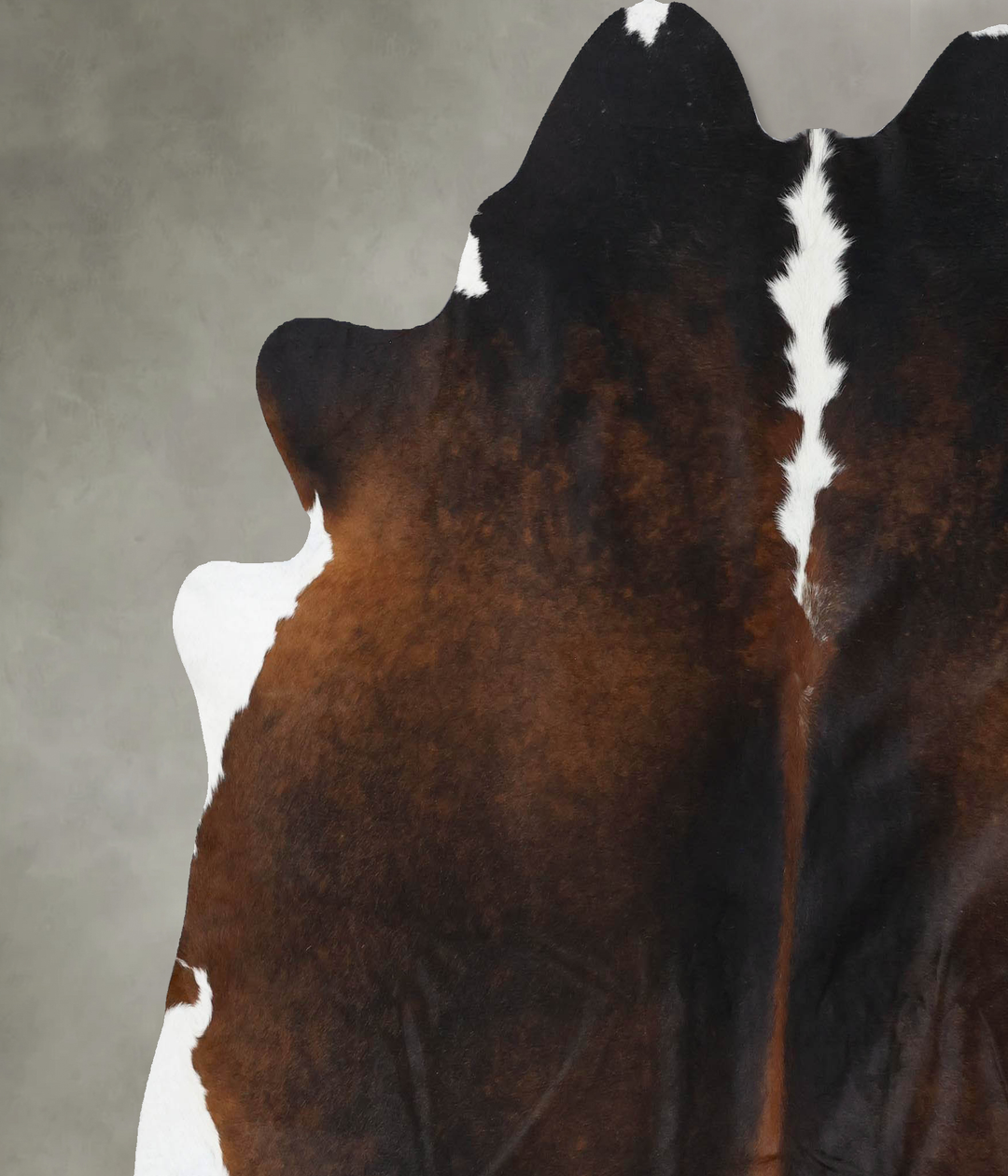 Chocolate and White X-Large Brazilian Cowhide Rug 6'11"H x 6'10"W #B18