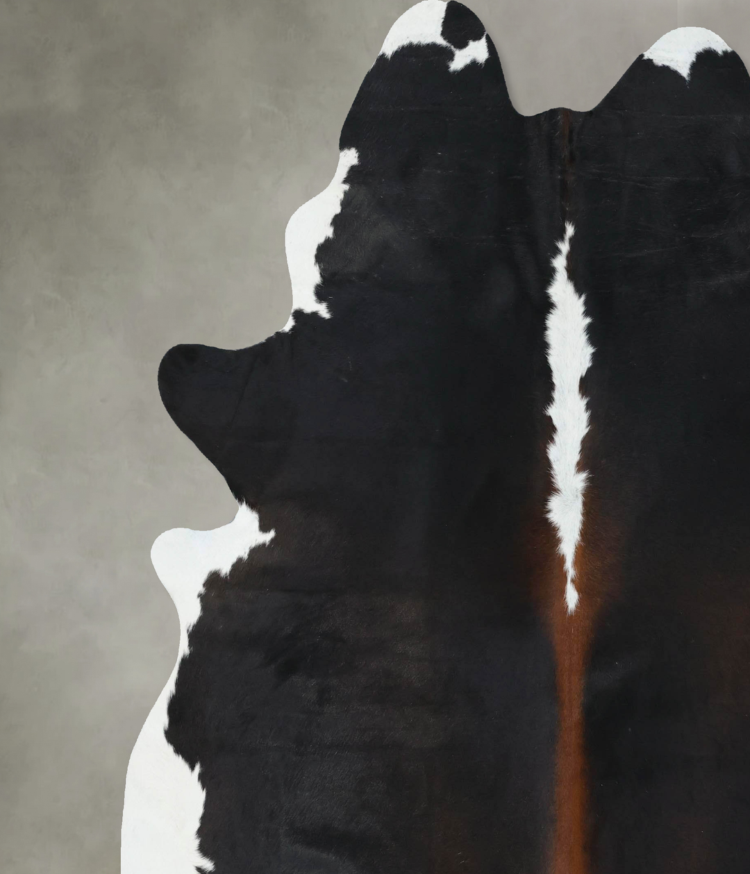 Chocolate and White XX-Large Brazilian Cowhide Rug 8'3"H x 7'2"W #B188