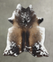Chocolate and White X-Large Brazilian Cowhide Rug 7'0
