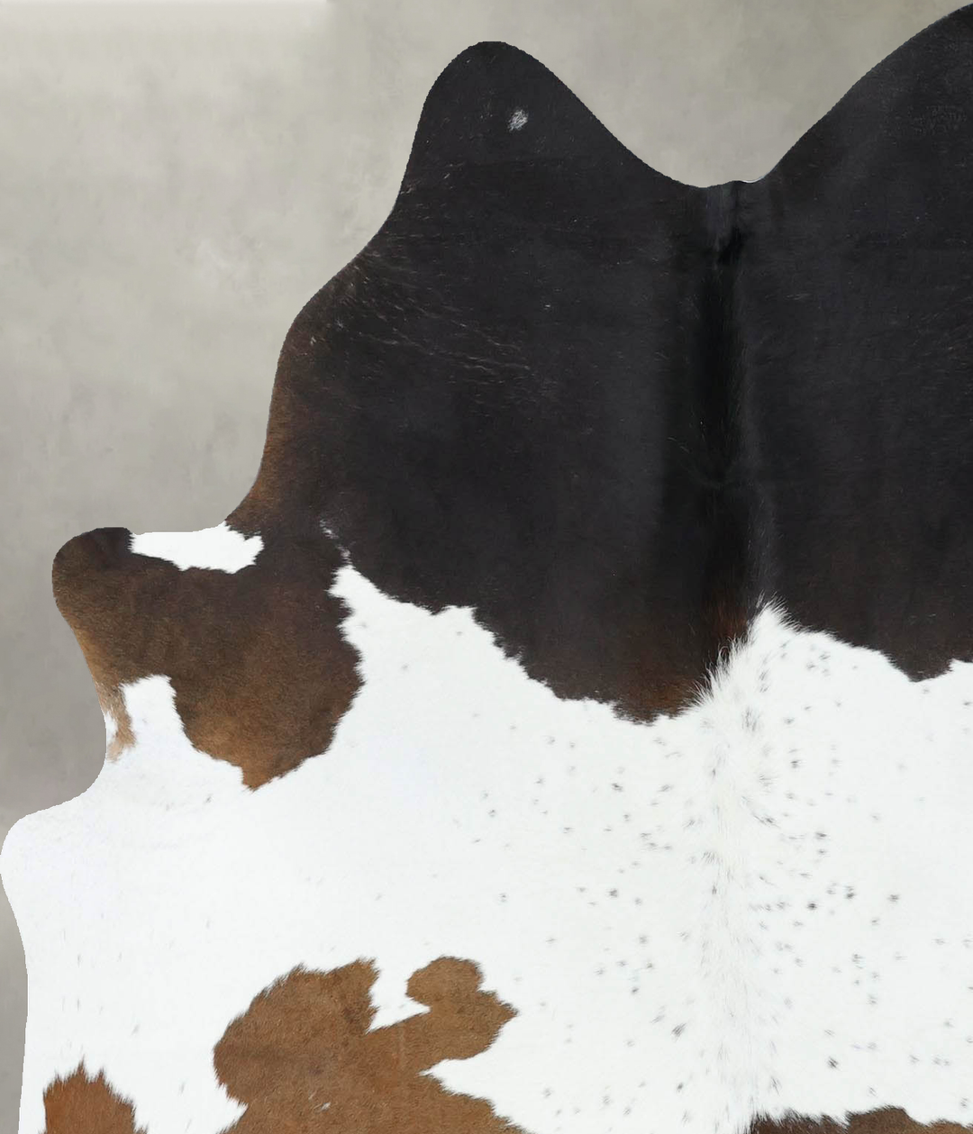 Chocolate and White Large Brazilian Cowhide Rug 6'1"H x 5'2"W #B18859 