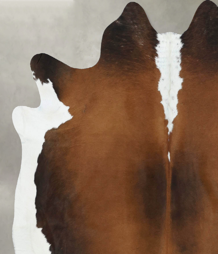 Chocolate and White Large Brazilian Cowhide Rug 6'3"H x 5'11"W #B18862 by Hudson Hides