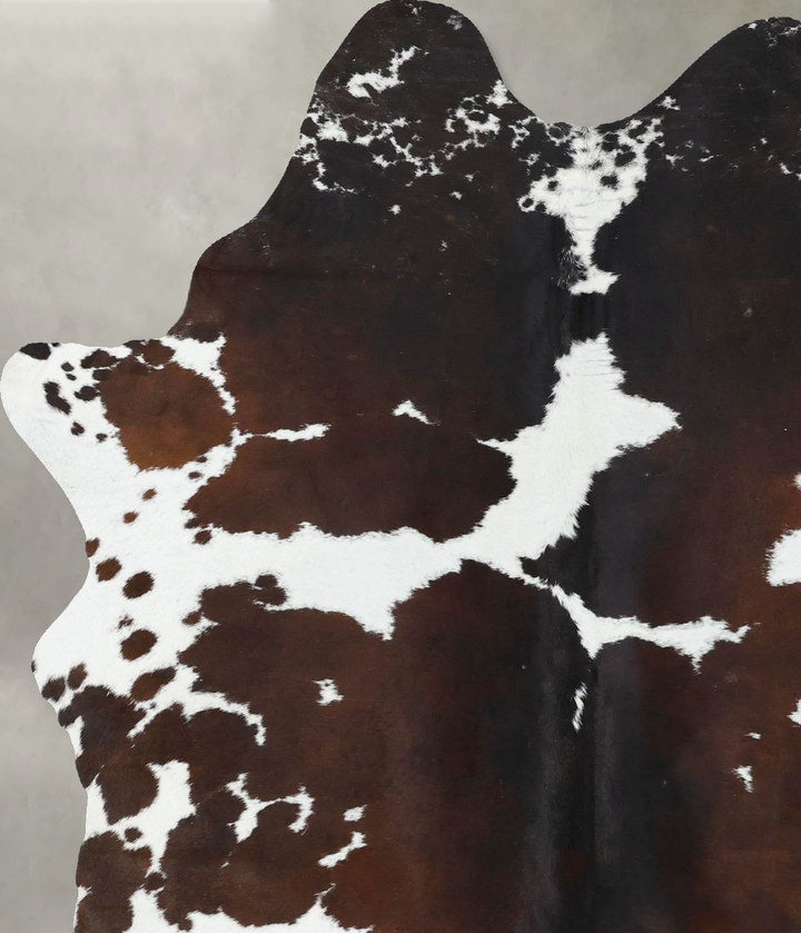 Chocolate and White Large Brazilian Cowhide Rug 6'6"H x 5'2"W #B18863 by Hudson Hides