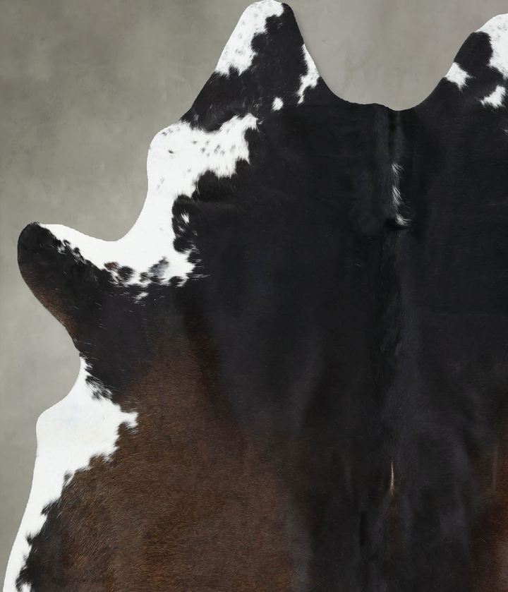 Chocolate and White Large Brazilian Cowhide Rug 6'6"H x 5'8"W #B18867 by Hudson Hides