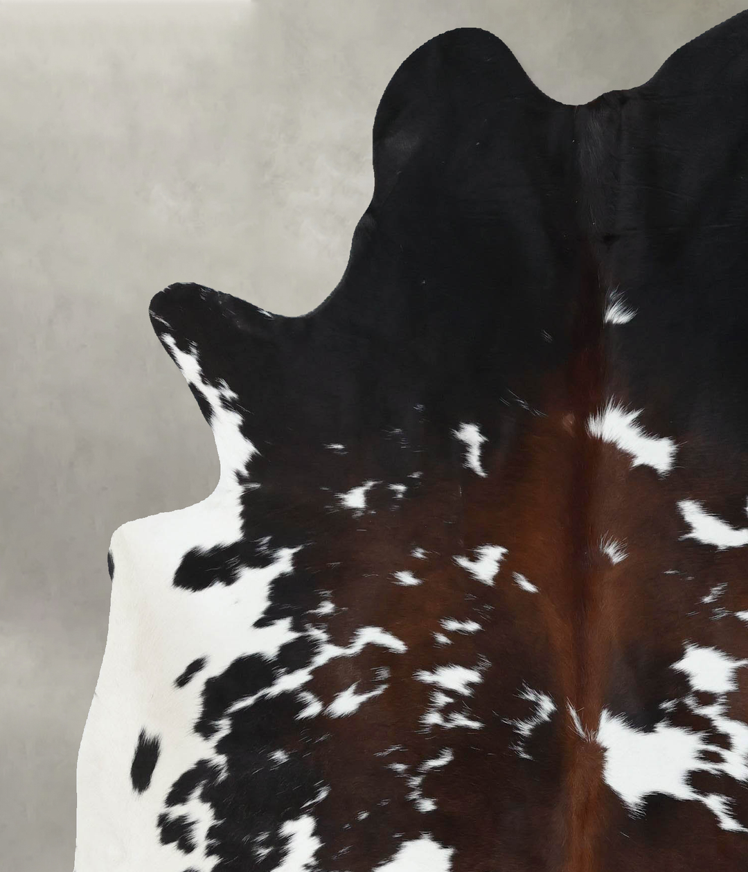 Chocolate and White Large Brazilian Cowhide Rug 6'10"H x 5'10"W #B1886