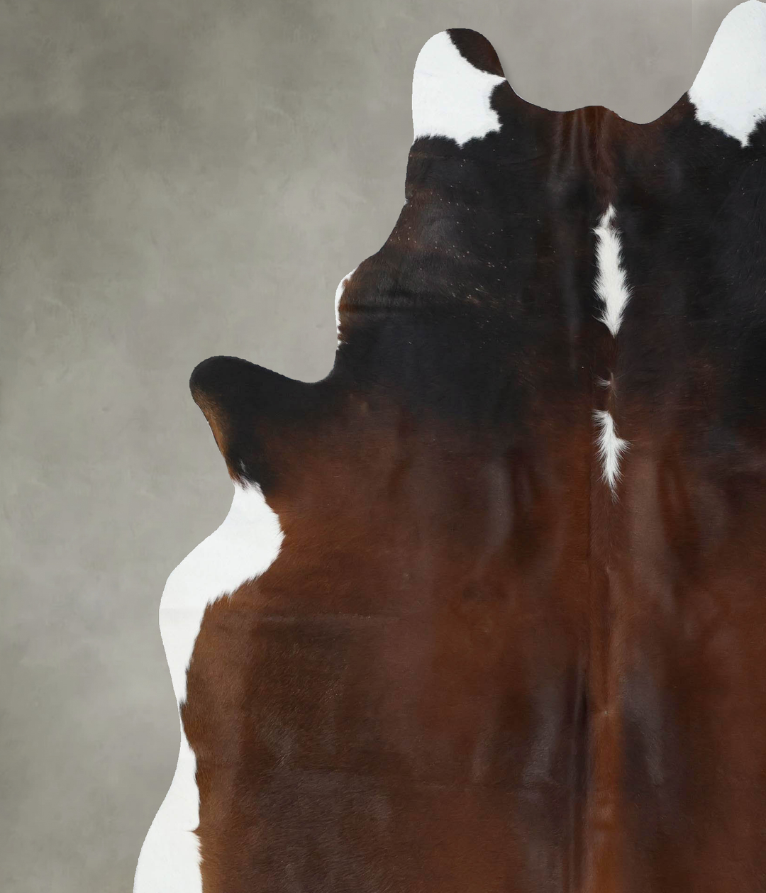 Chocolate and White XX-Large Brazilian Cowhide Rug 7'10"H x 6'5"W #B18