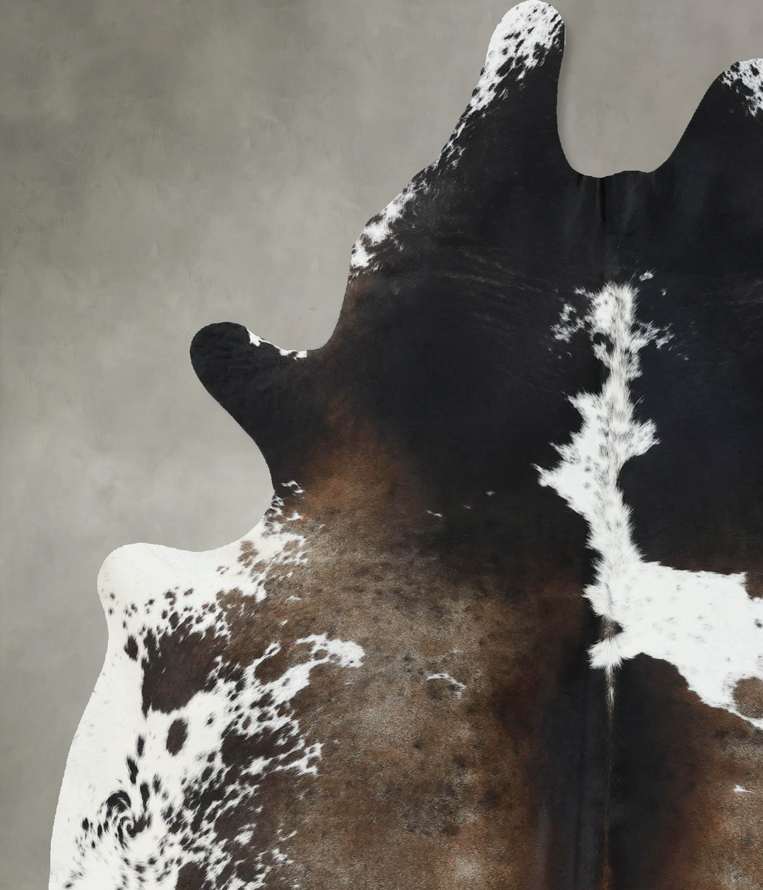 Chocolate and White X-Large Brazilian Cowhide Rug 8'1"H x 5'9"W #B1887