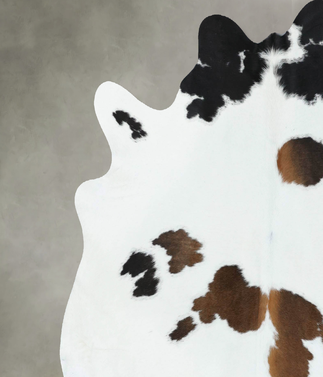Chocolate and White X-Large Brazilian Cowhide Rug 6'7"H x 6'2"W #B1887