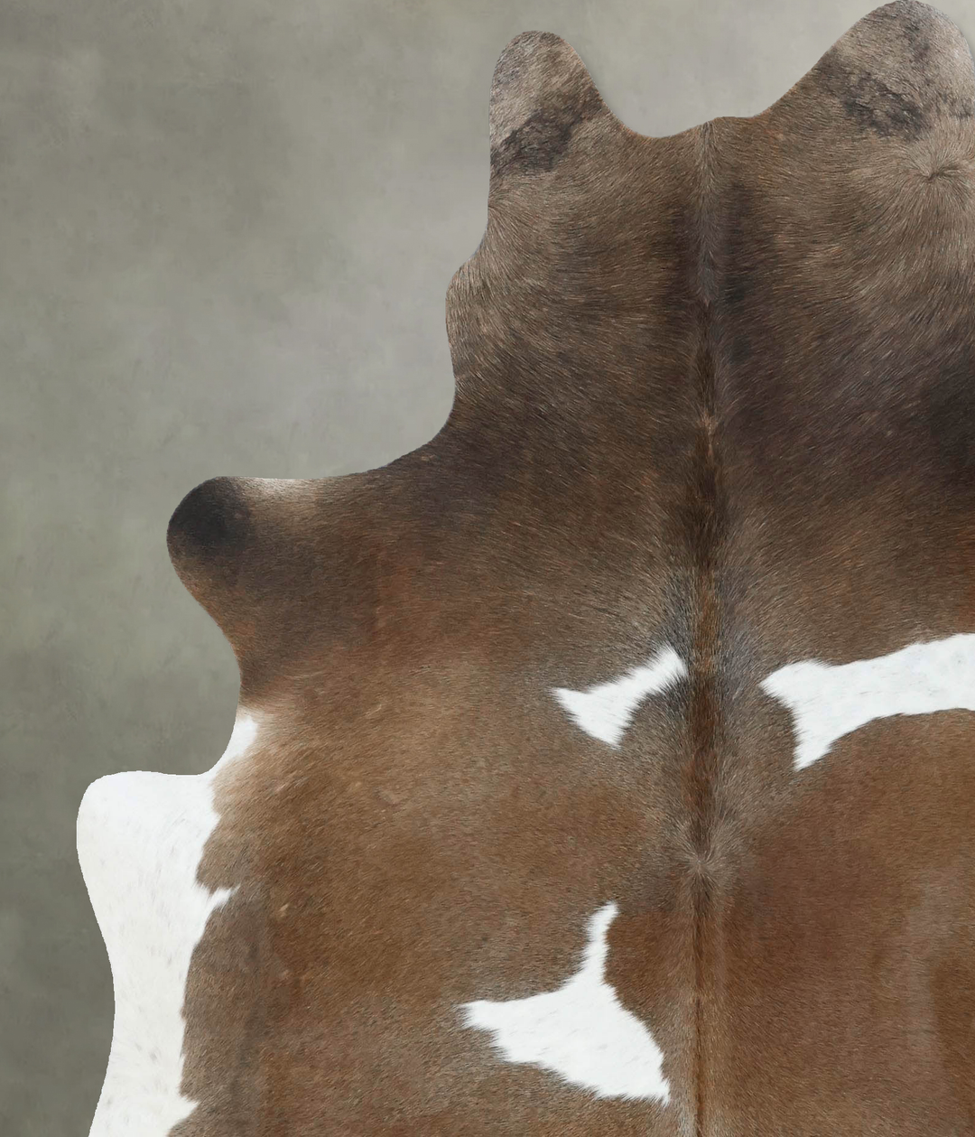 Chocolate and White X-Large Brazilian Cowhide Rug 7'5"H x 6'3"W #B1887