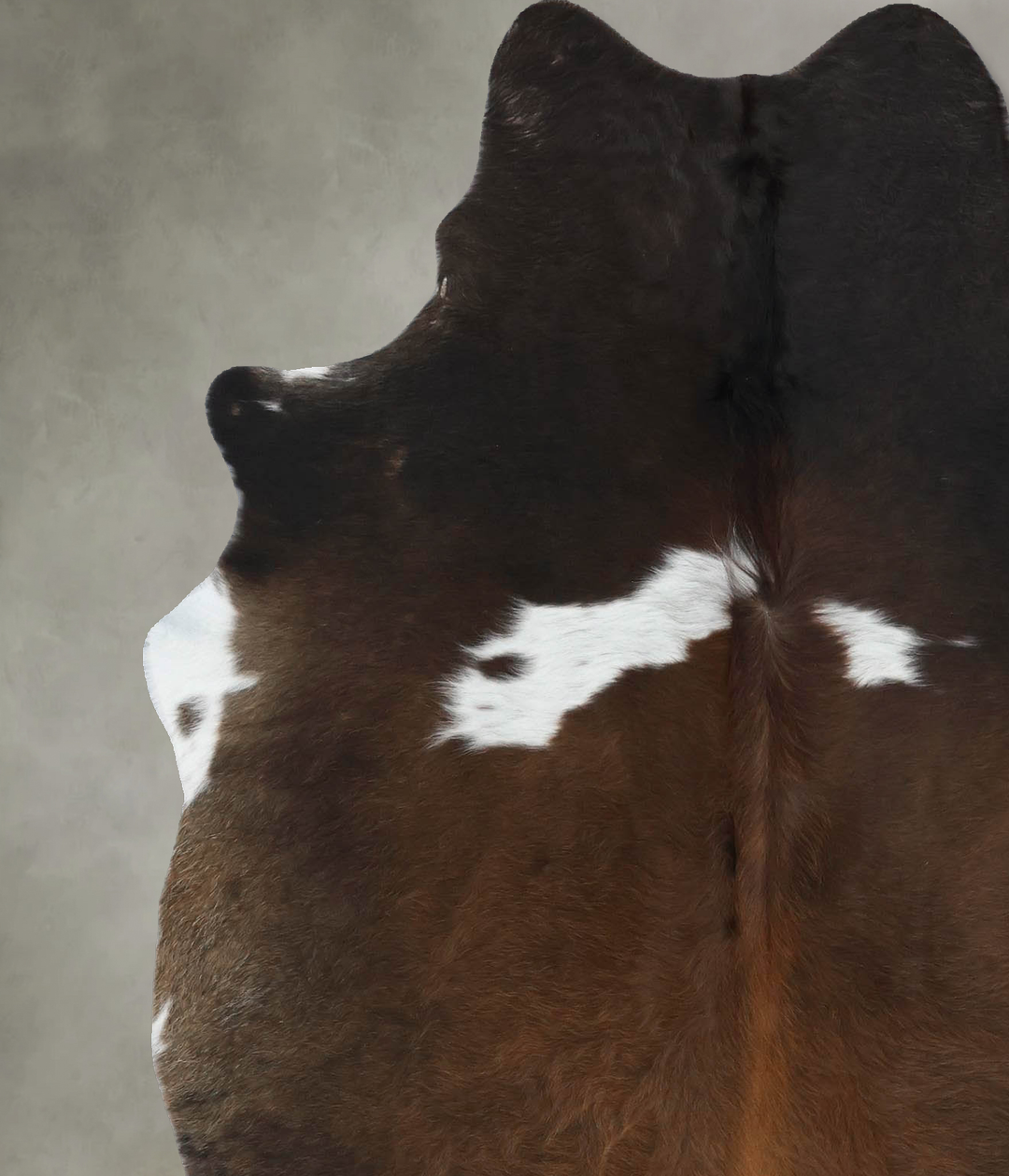 Chocolate and White Large Brazilian Cowhide Rug 6'8"H x 5'2"W #B18880 