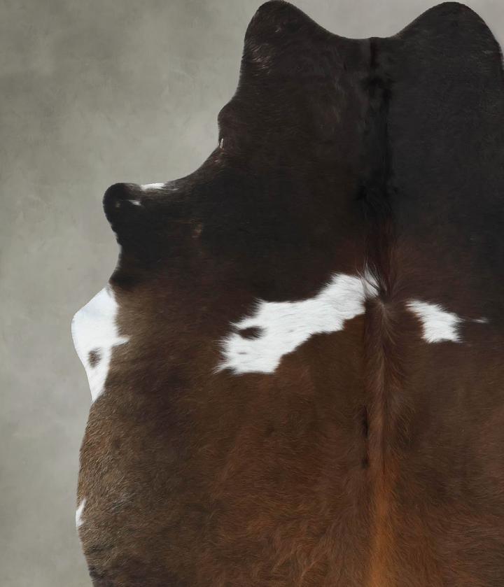 Chocolate and White Large Brazilian Cowhide Rug 6'8"H x 5'2"W #B18880 by Hudson Hides
