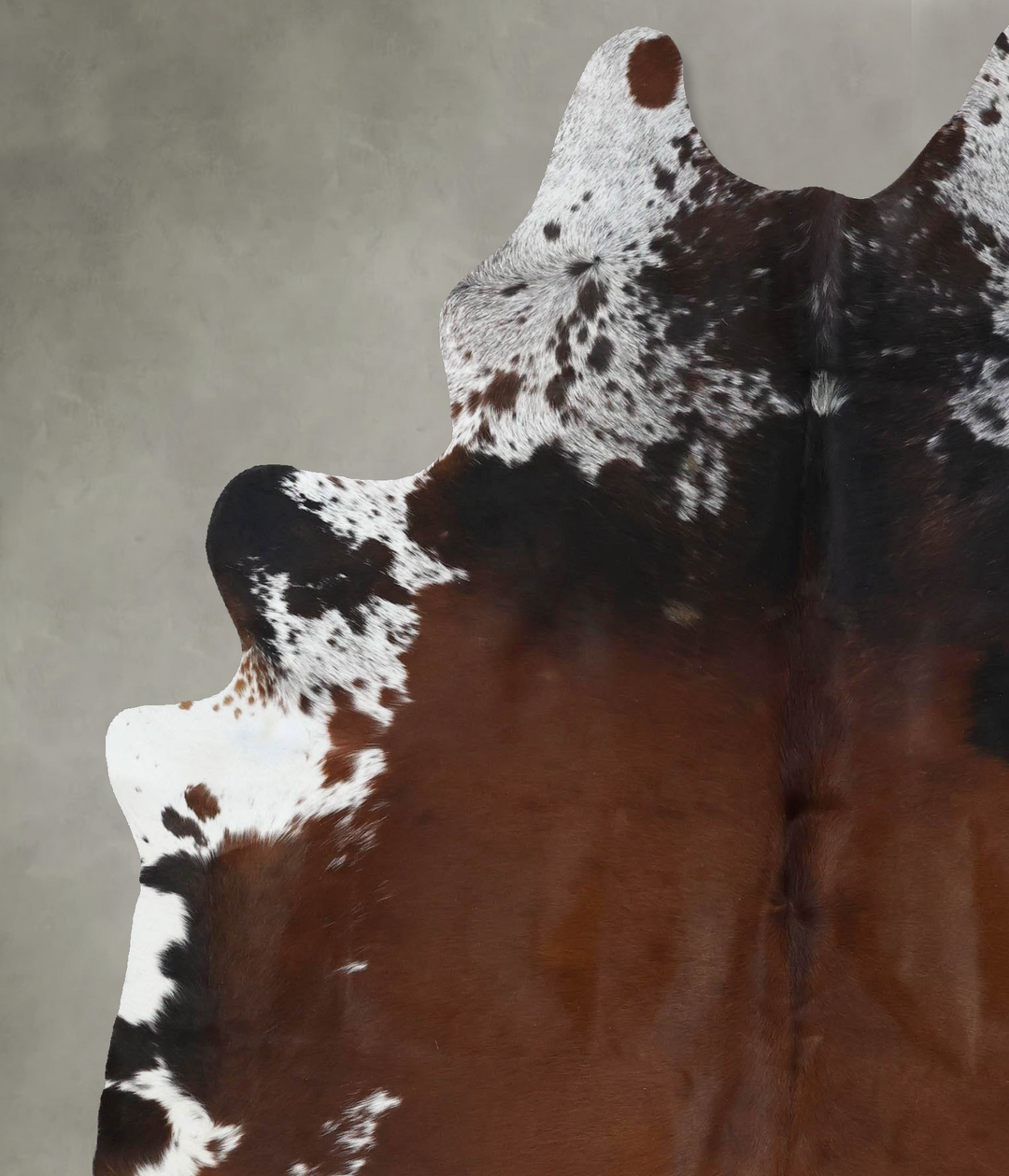 Chocolate and White X-Large Brazilian Cowhide Rug 7'8"H x 6'0"W #B1888