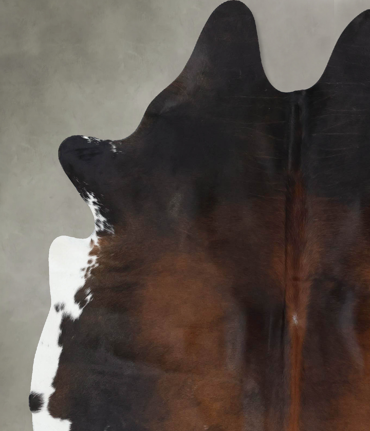 Chocolate and White Large Brazilian Cowhide Rug 6'11"H x 5'4"W #B18888 by Hudson Hides