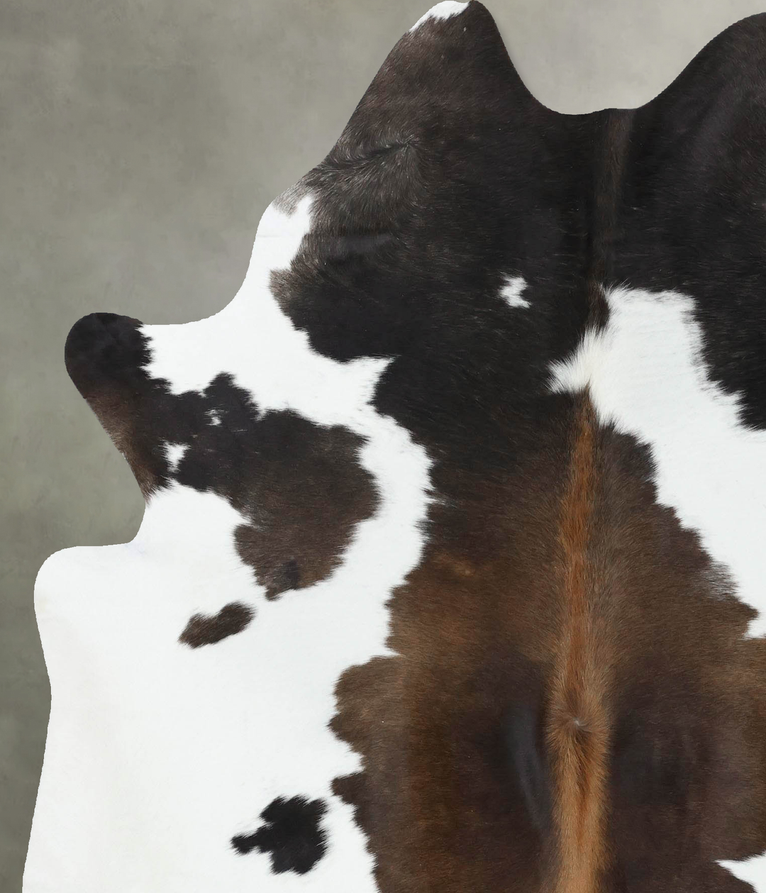 Chocolate and White X-Large Brazilian Cowhide Rug 7'3"H x 5'11"W #B188