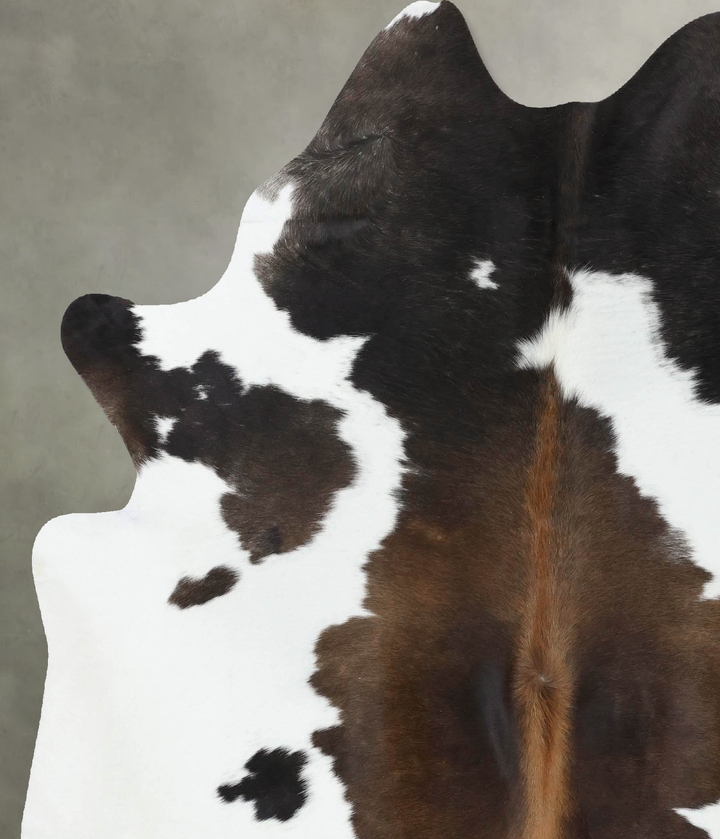 Chocolate and White X-Large Brazilian Cowhide Rug 7'3"H x 5'11"W #B18890 by Hudson Hides