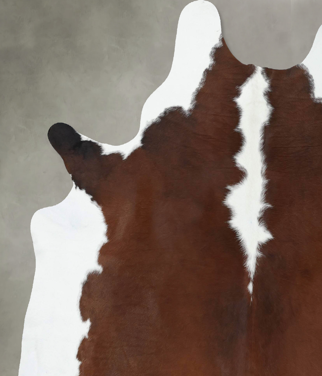 Chocolate and White XX-Large Brazilian Cowhide Rug 7'11"H x 6'6"W #B18