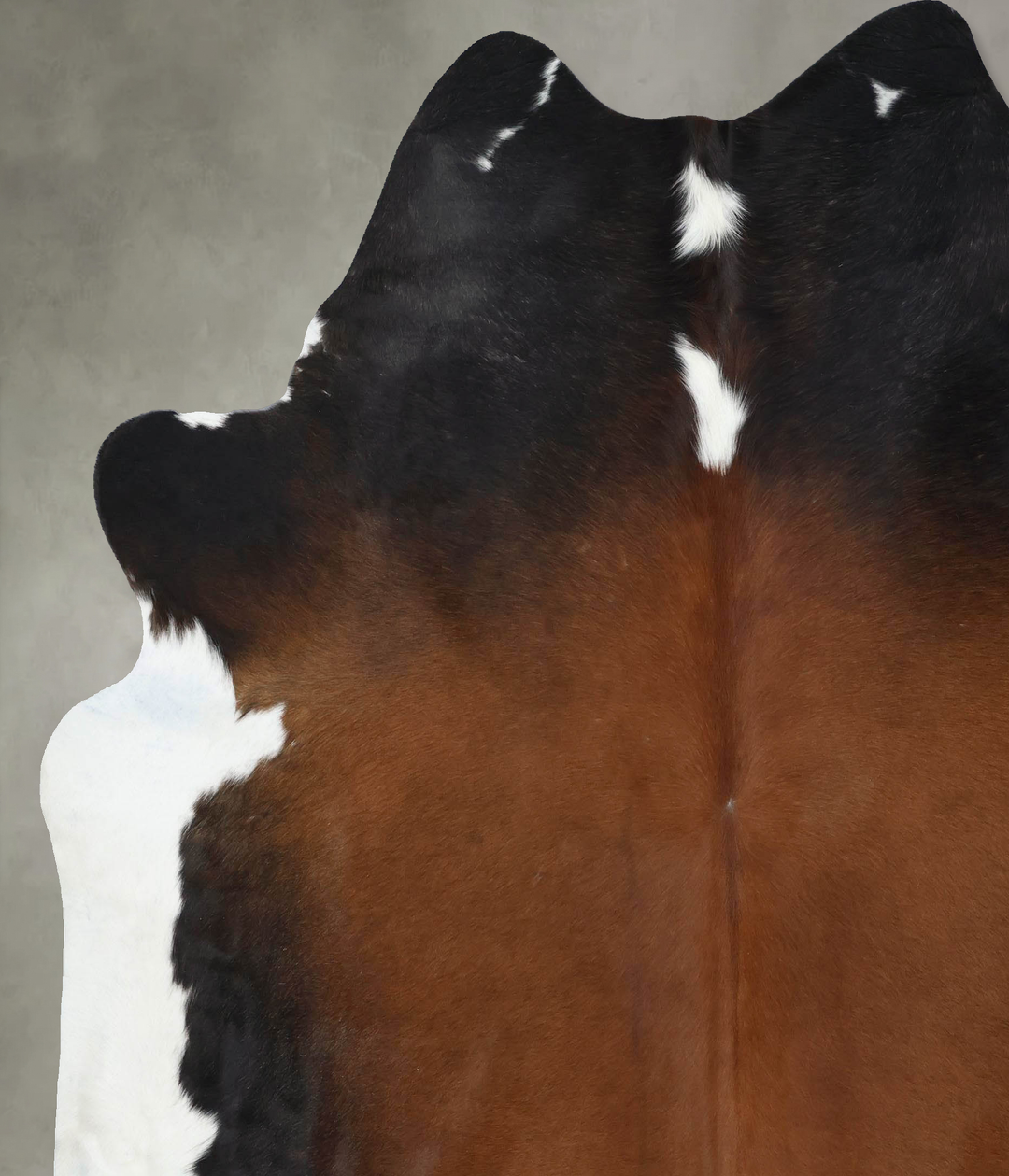 Chocolate and White XX-Large Brazilian Cowhide Rug 8'3"H x 7'3"W #B188