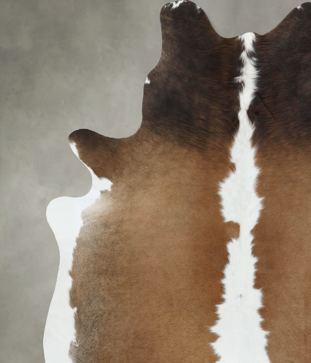 Chocolate and White X-Large Brazilian Cowhide Rug 7'9"H x 6'5"W #B1889